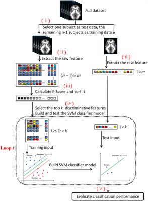 Identification of Amyotrophic Lateral Sclerosis Based on Diffusion Tensor Imaging and Support Vector Machine